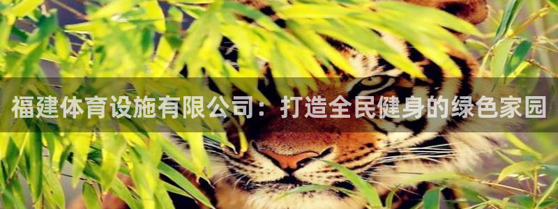 意昂5(KGAME)体育平台假的吗是真的吗：福建体育设施有限