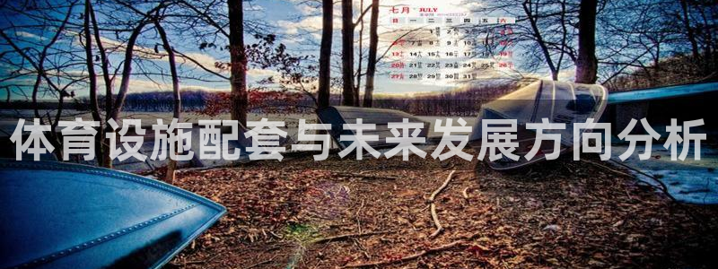 意昂5(KGAME)集团E.ON：体育设施配套与未来发展方向
