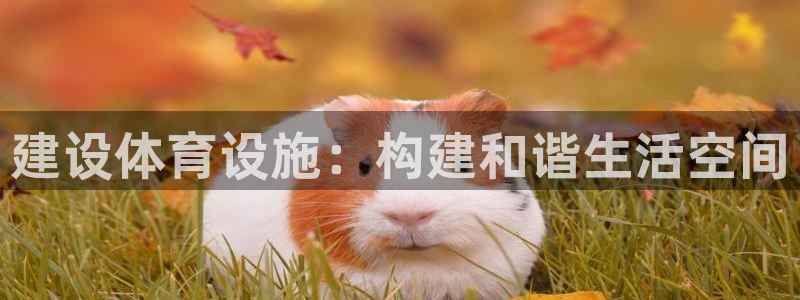 意昂5(KGAME)体育招商电话号码是多少：建设体育设施：构