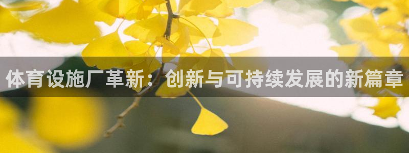 意昂5(KGAME)体育：体育设施厂革新：创新与可持续发展的 