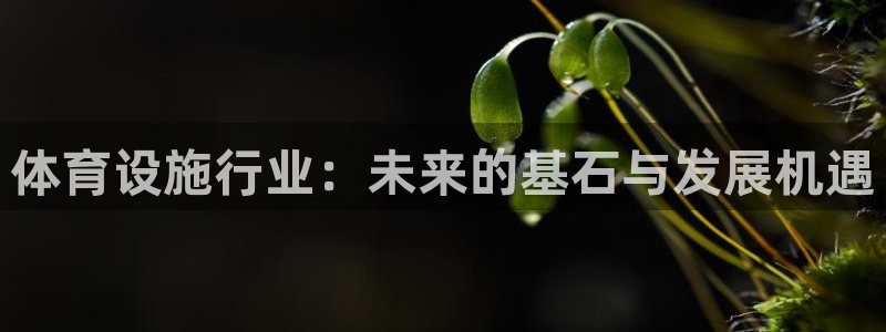 意昂5(KGAME)体育平台APP：体育设施行业：未来的基石 