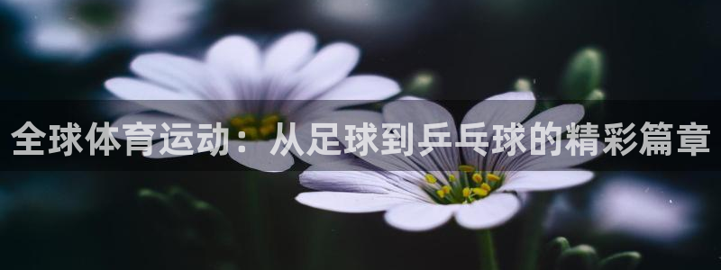 熊猫体育app官网入口