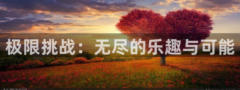 熊猫体育文化有限公司