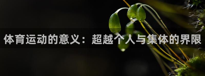 熊猫体育公园