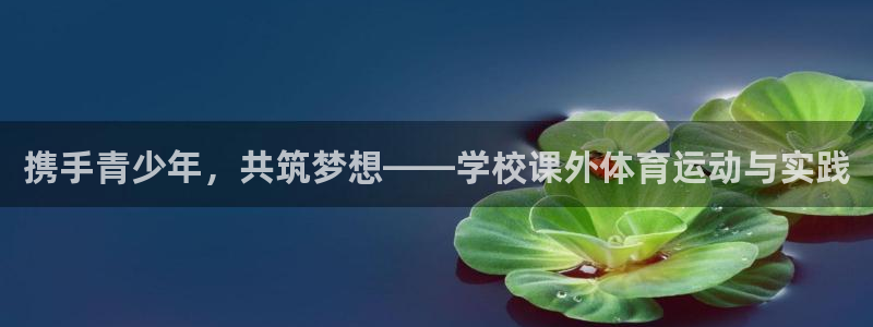 熊猫体育文化有限公司