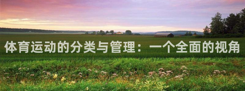熊猫体育在线