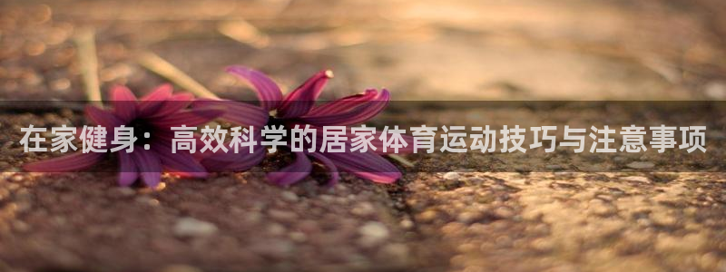 熊猫体育网站