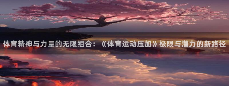 熊猫体育平台官网