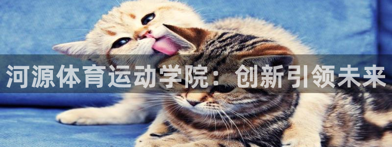 成都金熊猫体育