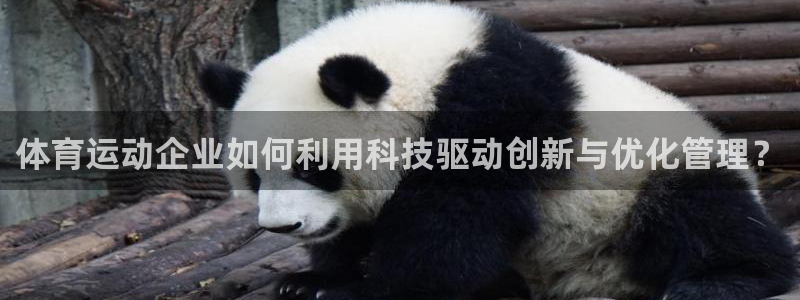 熊猫体育app官网入口
