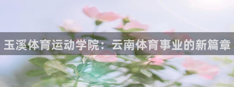 熊猫体育app官网入口
