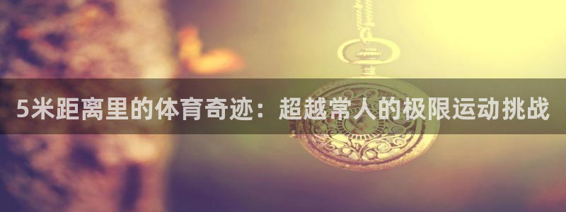 熊猫体育官网