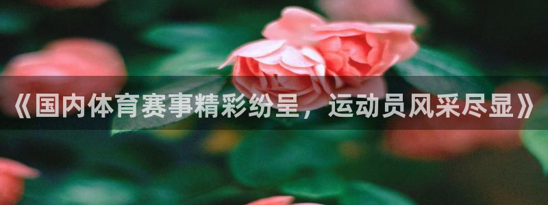 中山熊猫体育