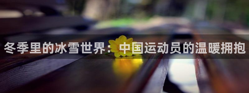 成都熊猫体育公园