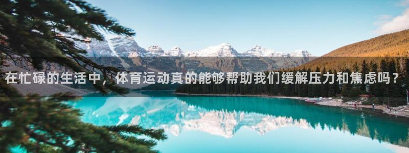 熊猫体育文化有限公司