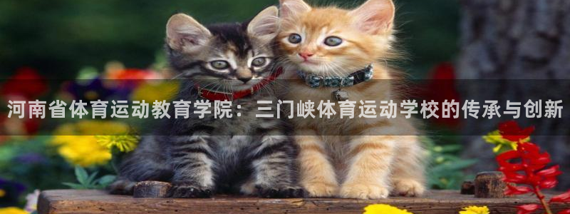 熊猫体育v3.新网页.org
