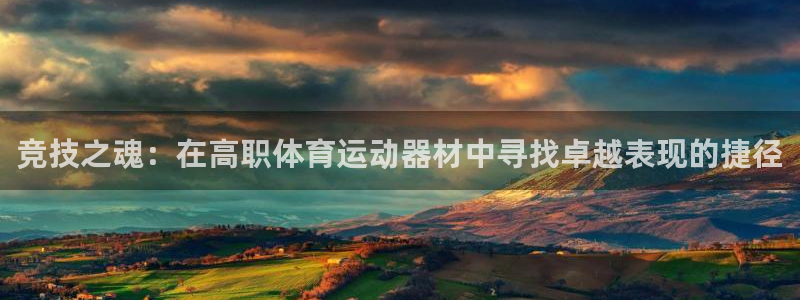 熊猫体育文化有限公司