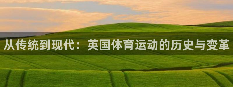 熊猫体育怎么样