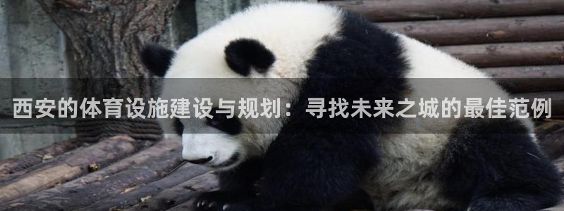 意昂5(KGAME)体育平台注册要钱吗：西安的体育设